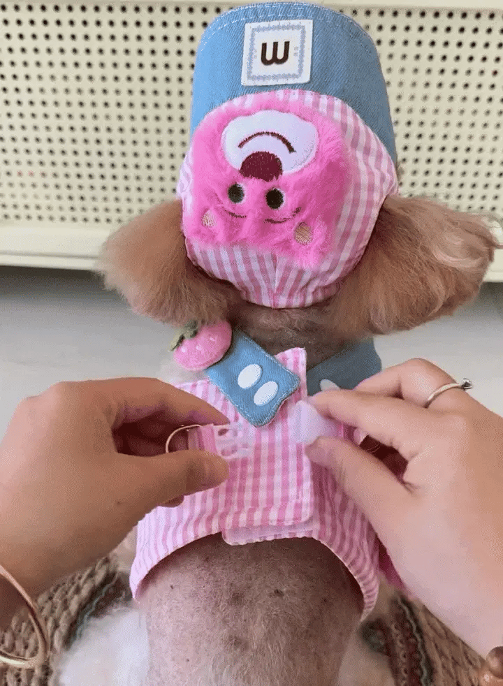 Cute Dog Harness & Leash Set with Hat